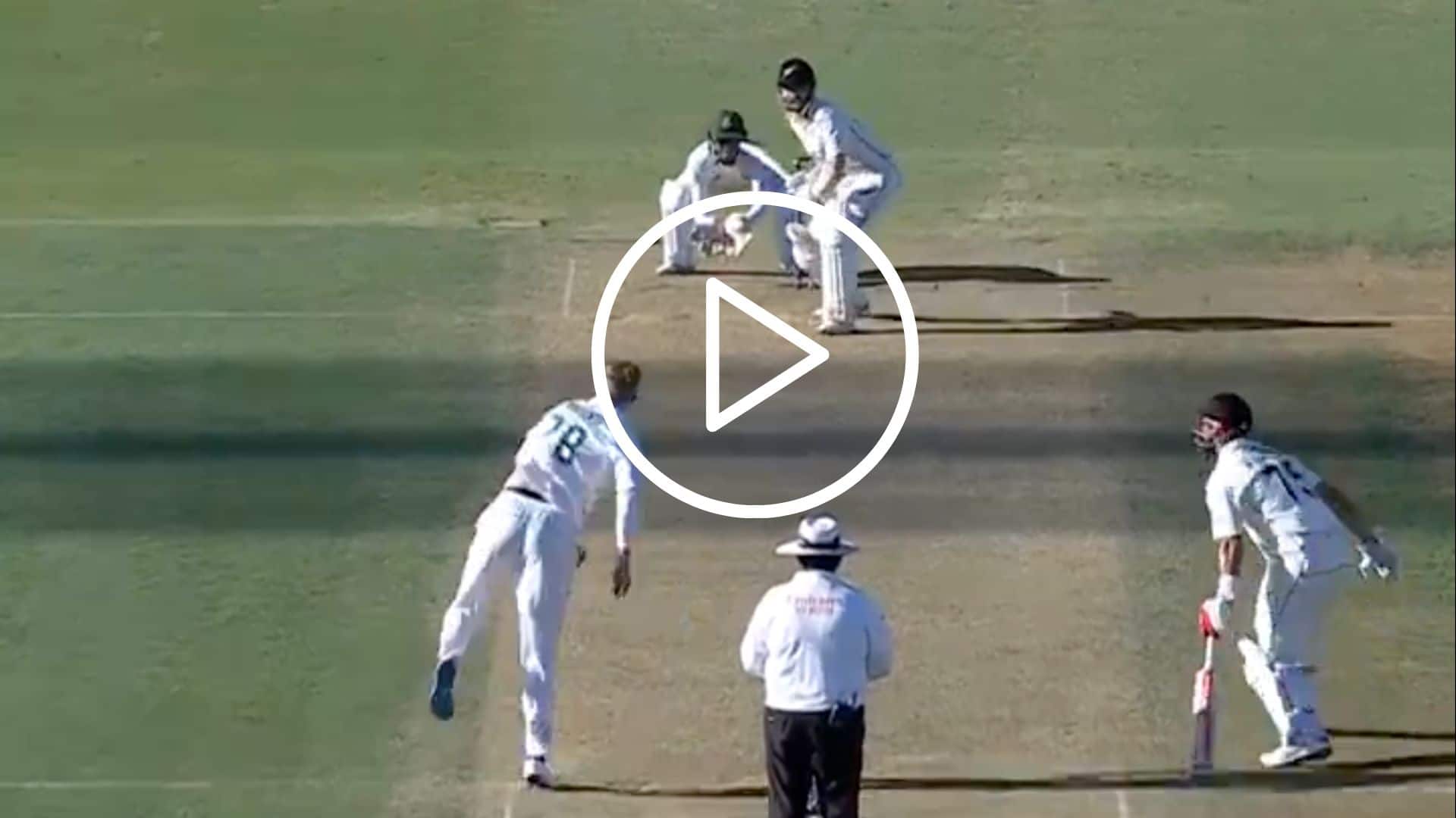 [Watch] Kane Williamson Creates History With Centuries In Both Innings Of Test Match vs SA